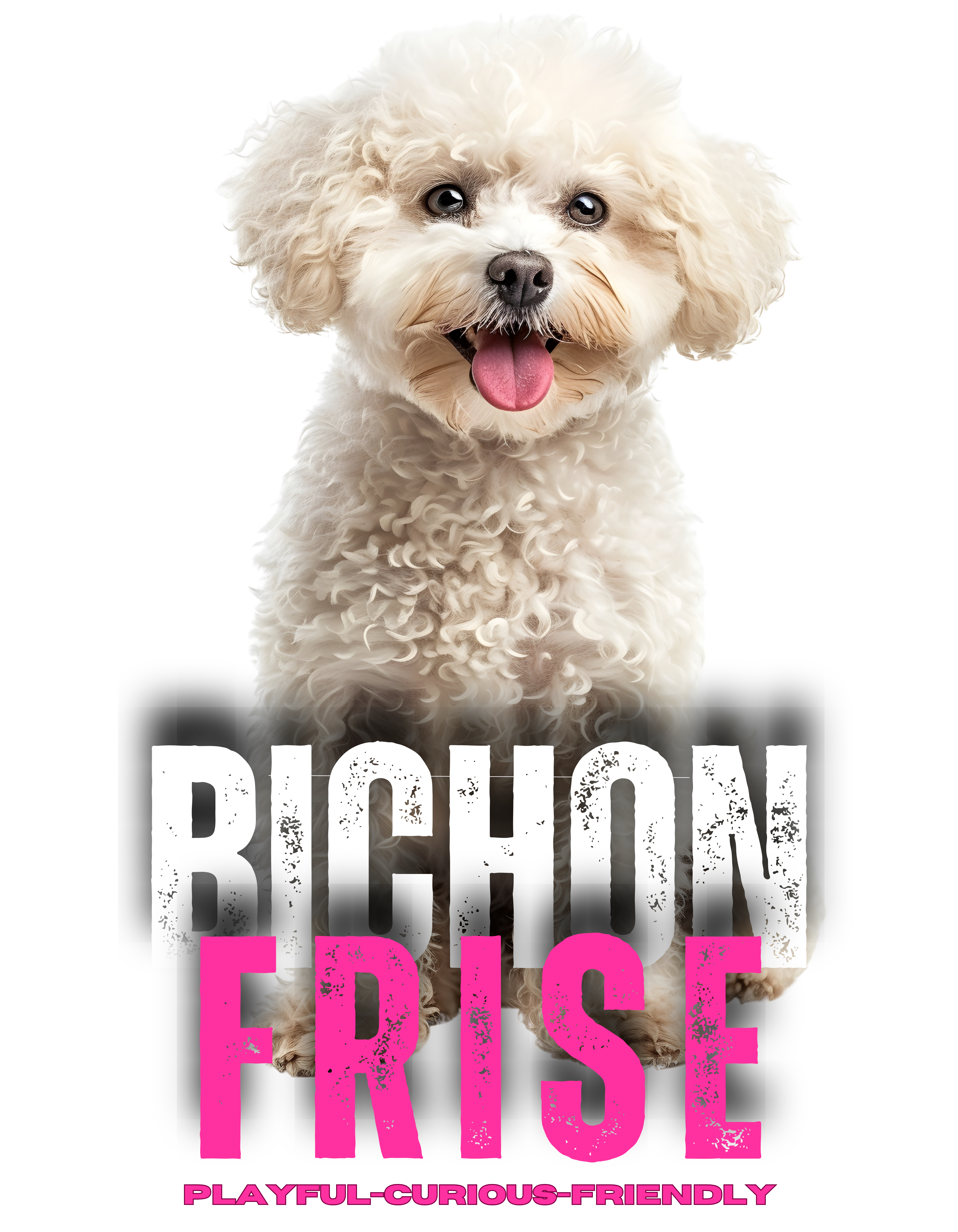 Bichon Frise Women's short sleeve t-shirt