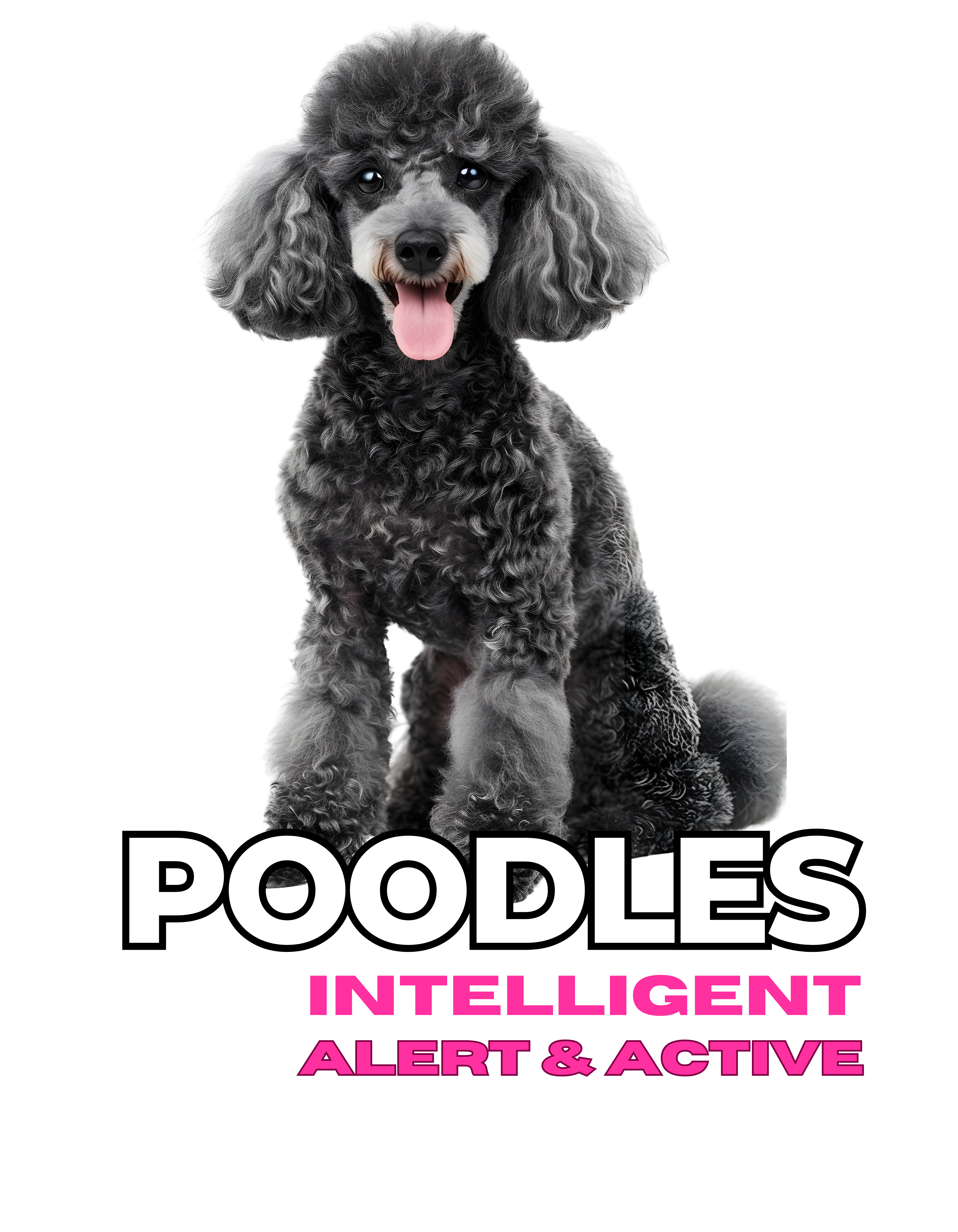 Poodle Crop Hoodie