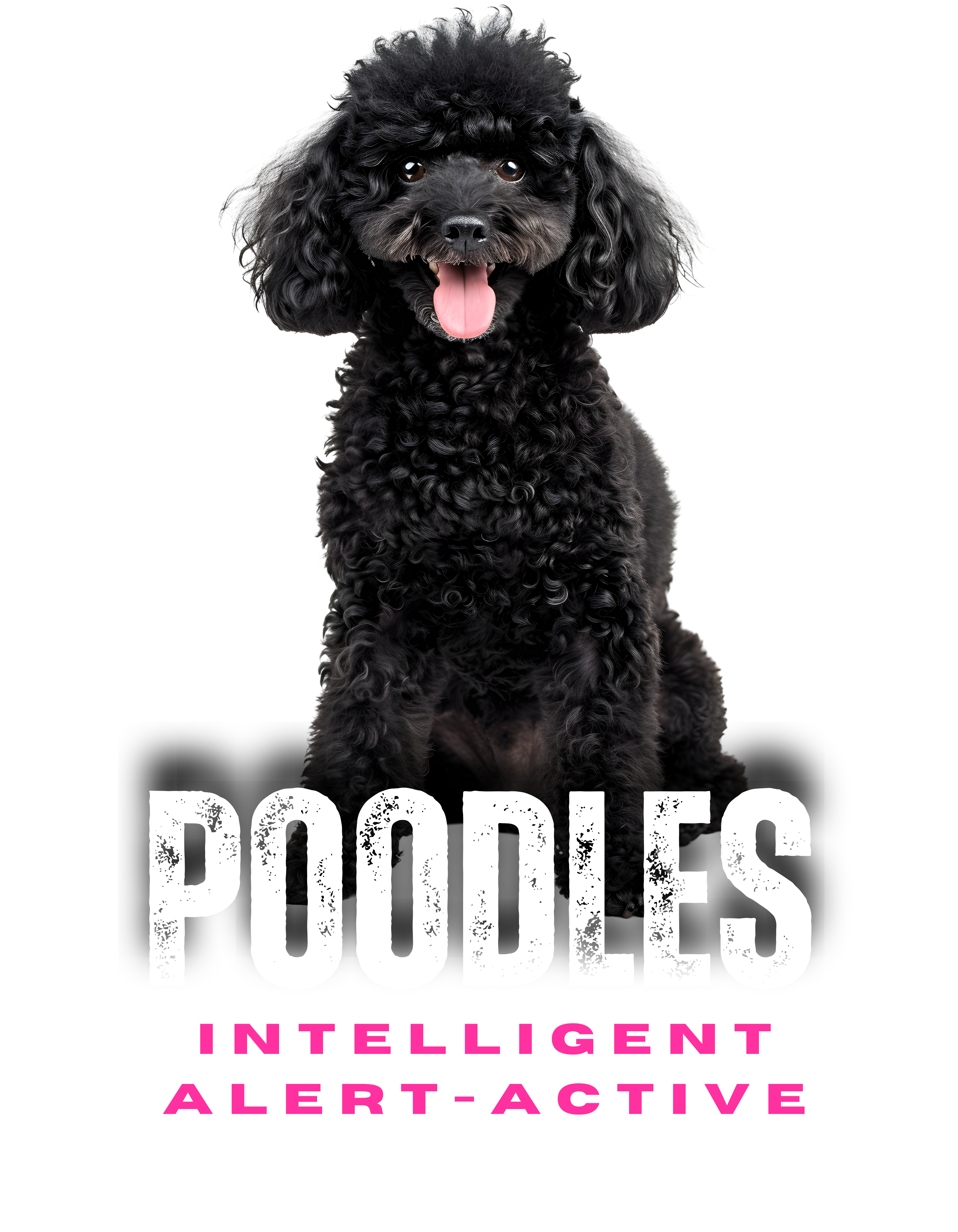 Poodle Crop Hoodie