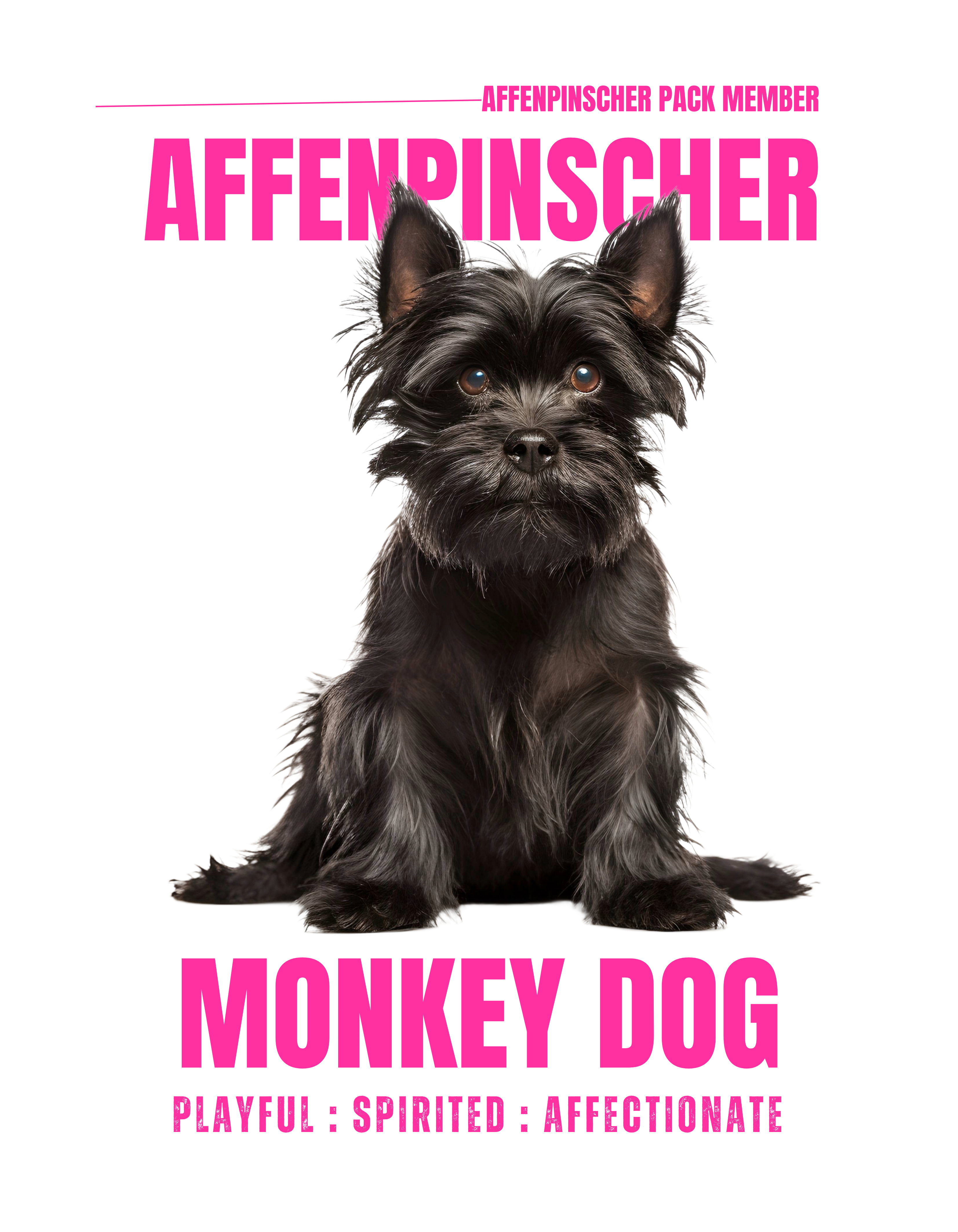 Affenpinscher Unisex Hoodie