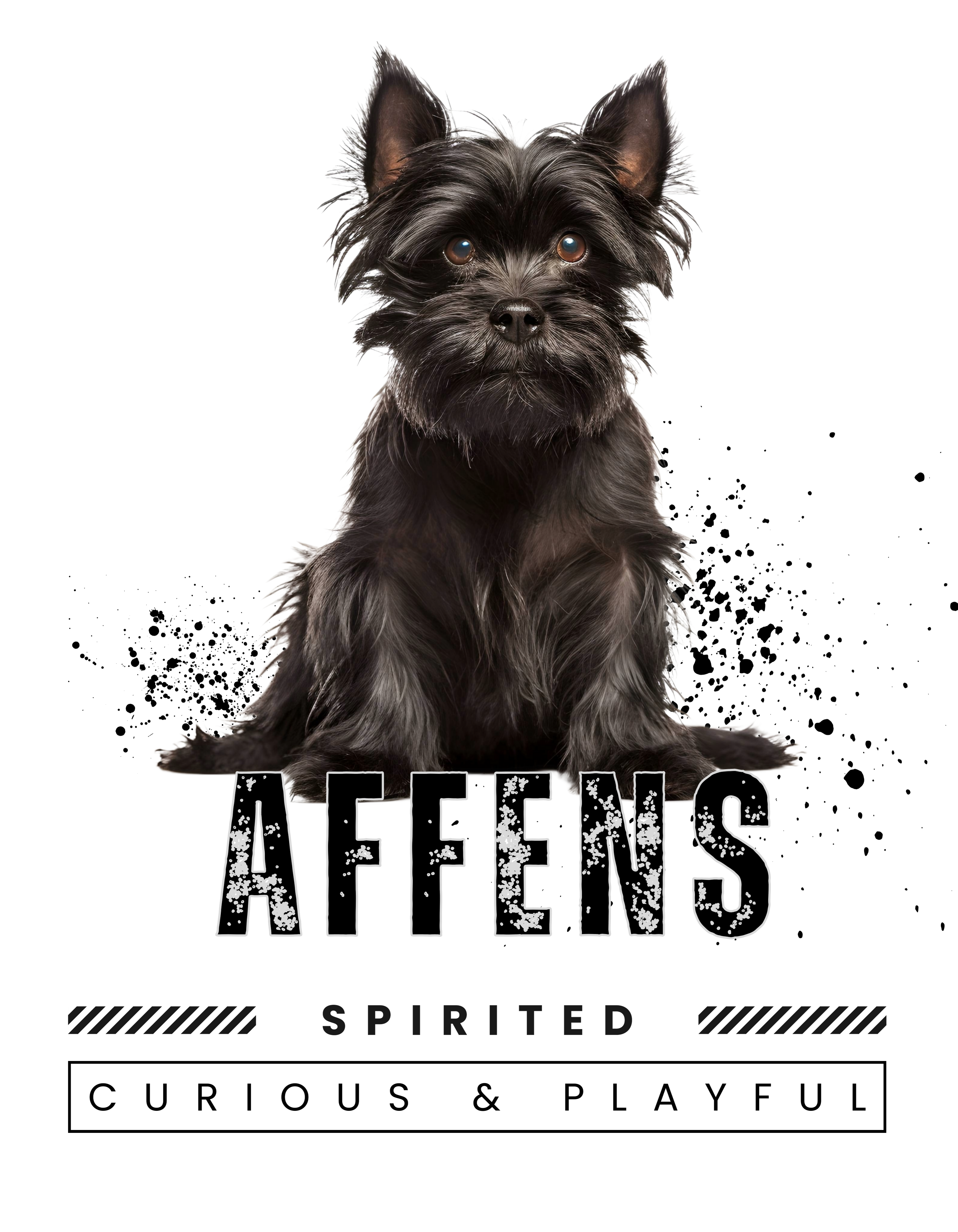 Affenpinscher Unisex Premium Sweatshirt