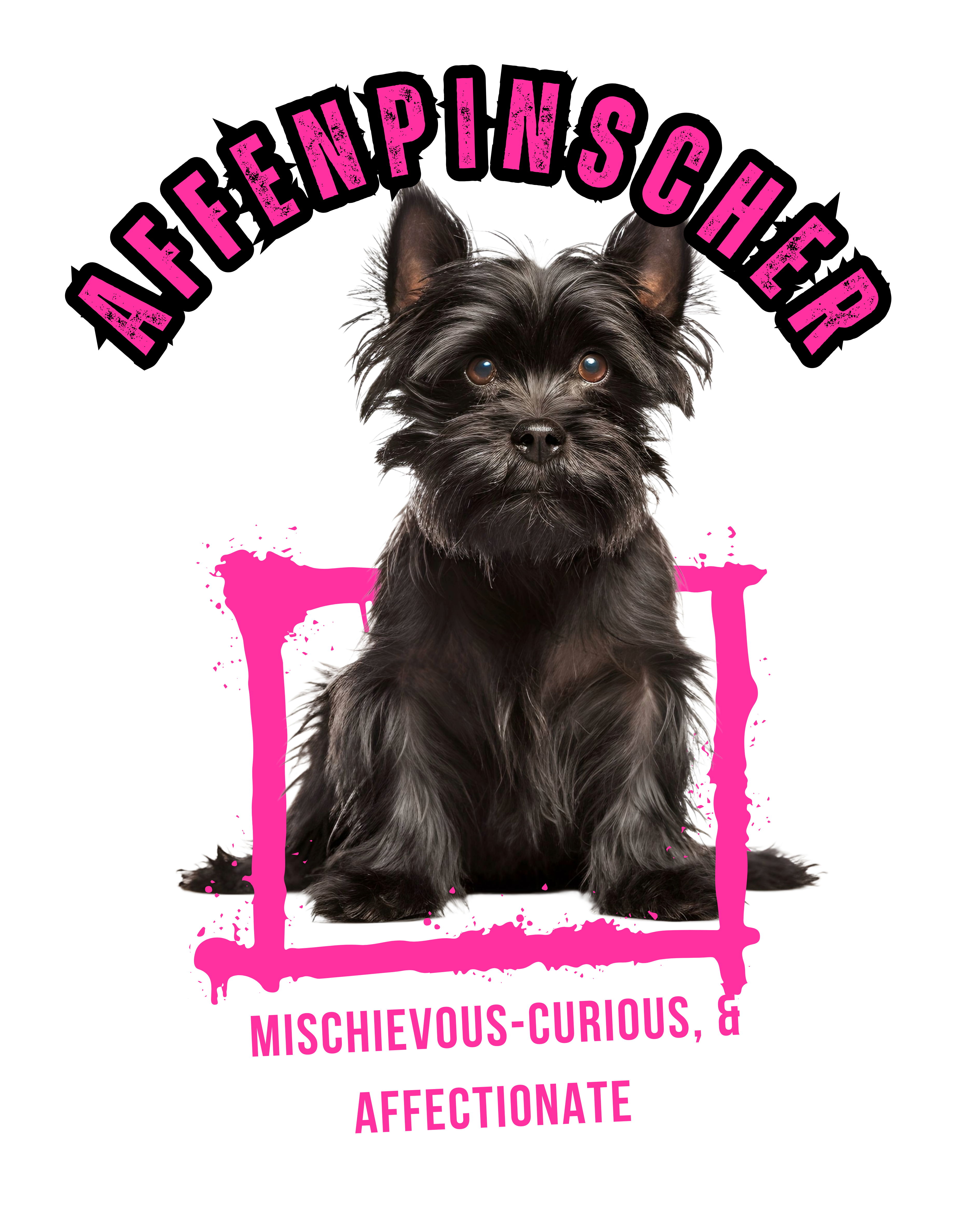 Affenpinscher Women's Relaxed T-Shirt