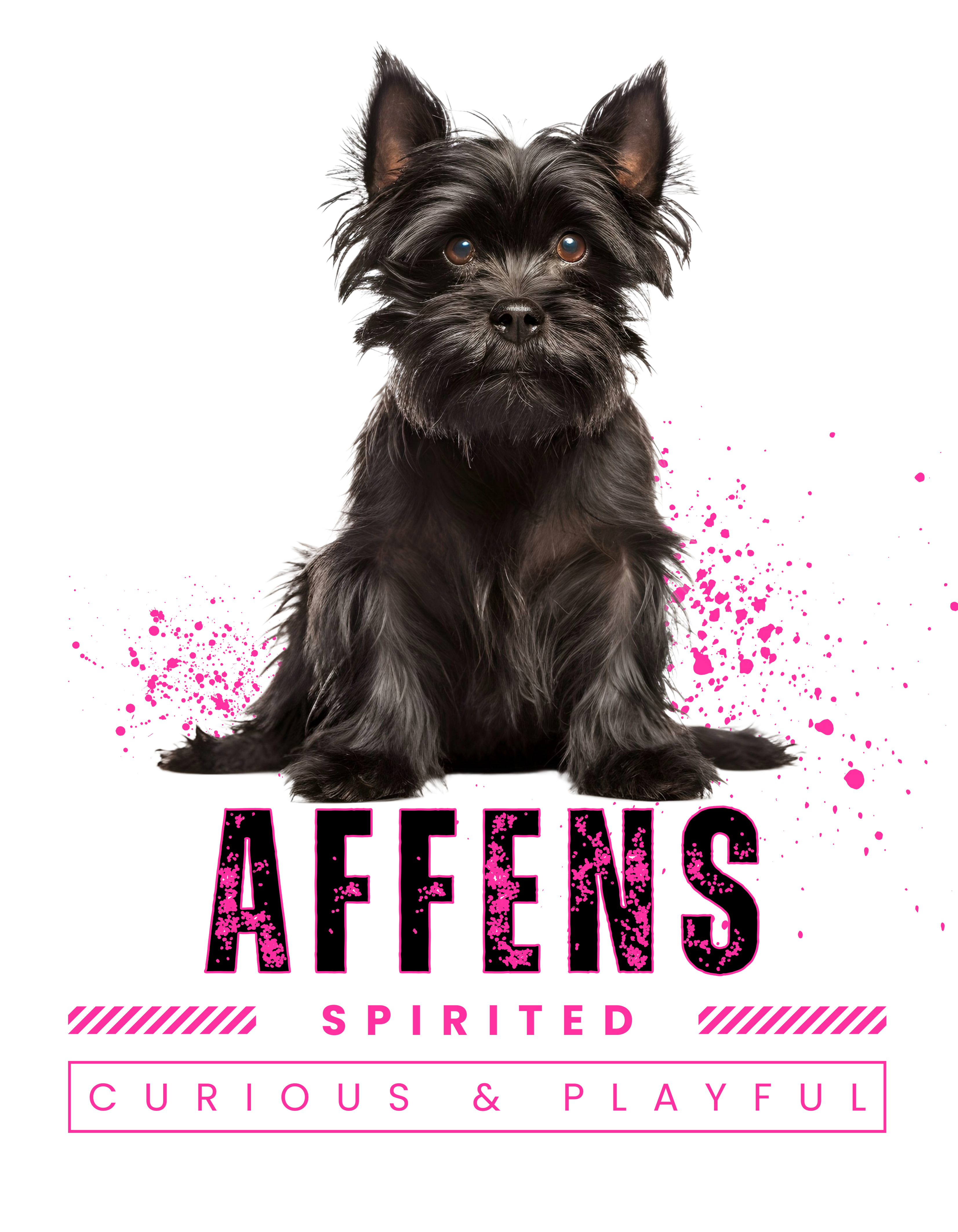 Affenpinscher Unisex Hoodie