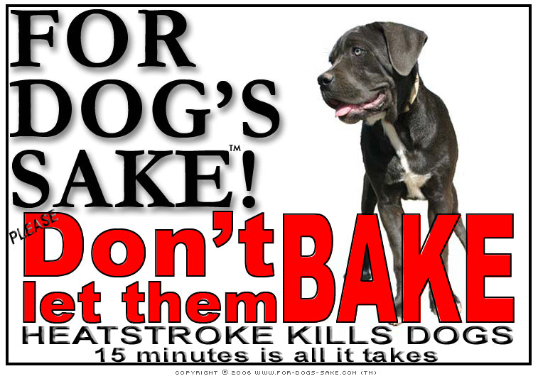 Cane Corso Heatstroke Warning Sign Digital Download