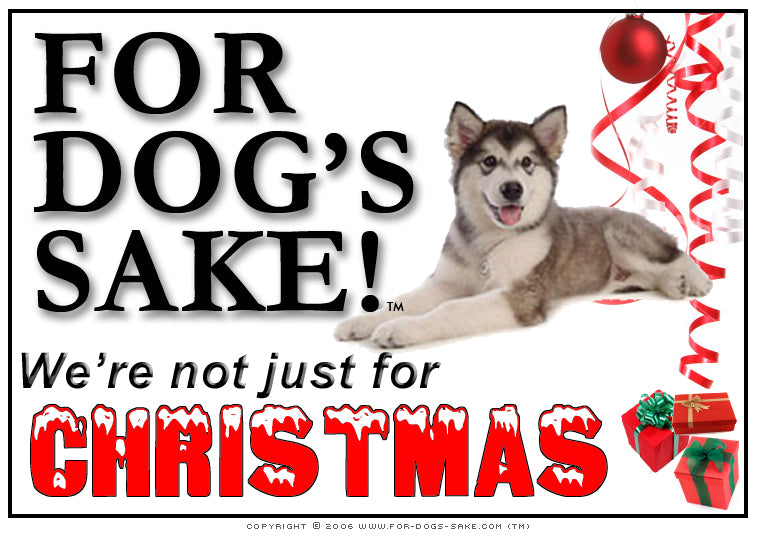 Alaskan Malamute Not Just for Christmas Download