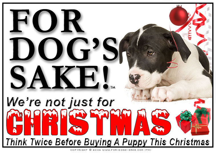 Staffordshire Bull Terrier Not Just for Christmas Download or Make an Offer (Donation)